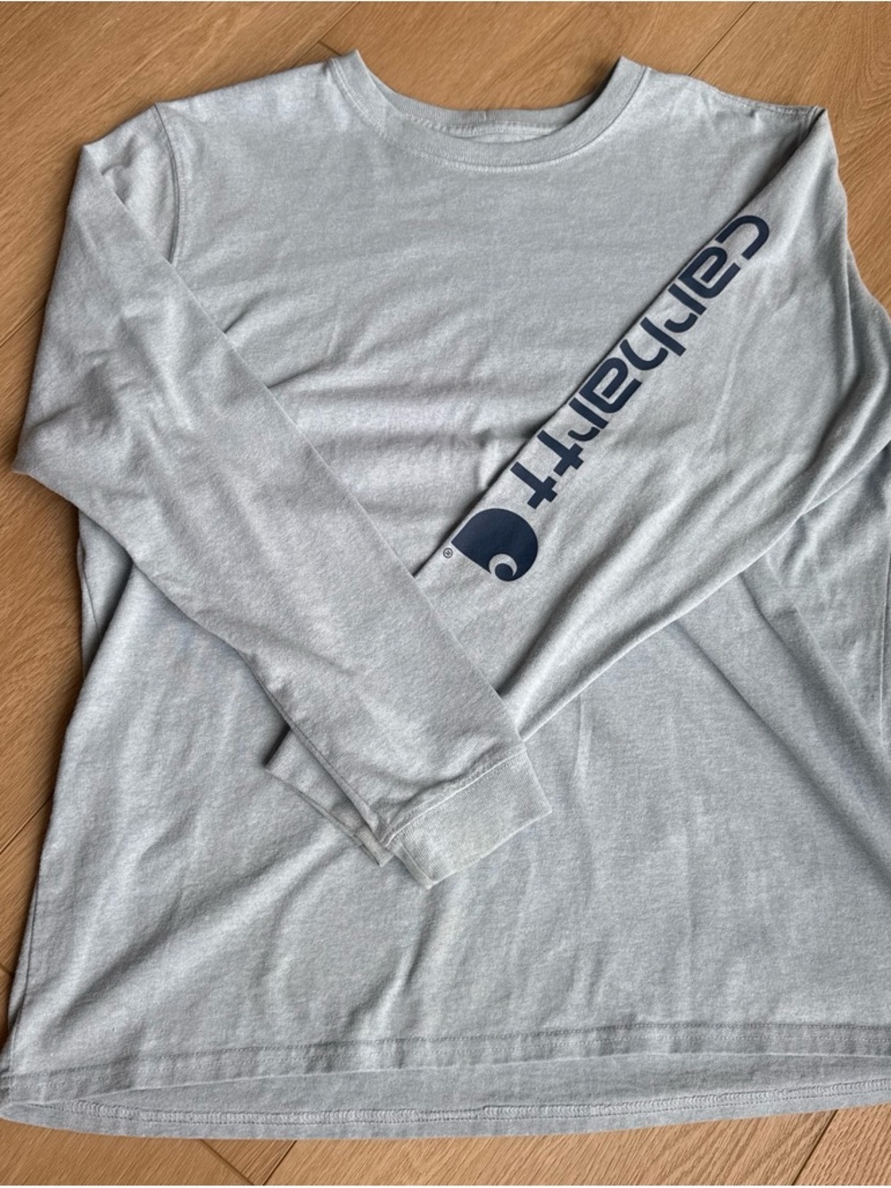 Carhartt Long-Sleeve Logo Tee in Light blue